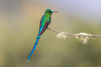 Parque Natural Chicaque